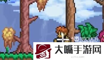 泰拉瑞亚九周年纪念世界彩蛋一览